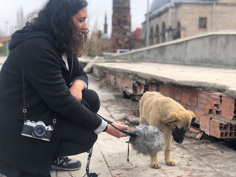 「ストレイ 犬が見た世界」メイキング写真