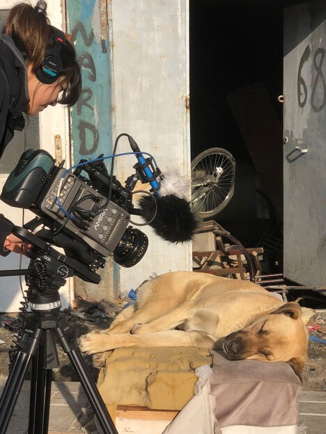 「ストレイ 犬が見た世界」メイキング写真