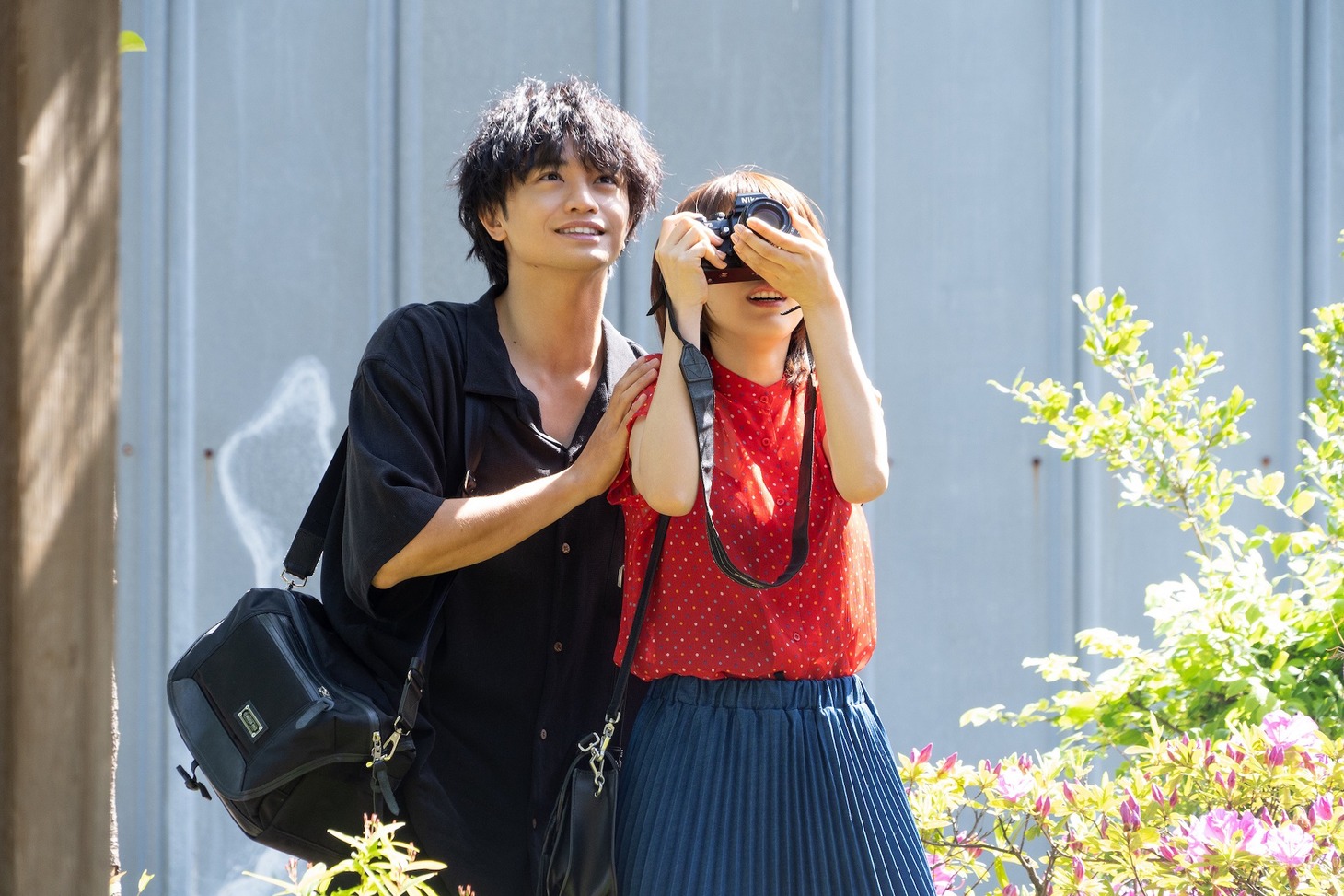 「桜のような僕の恋人」新場面写真