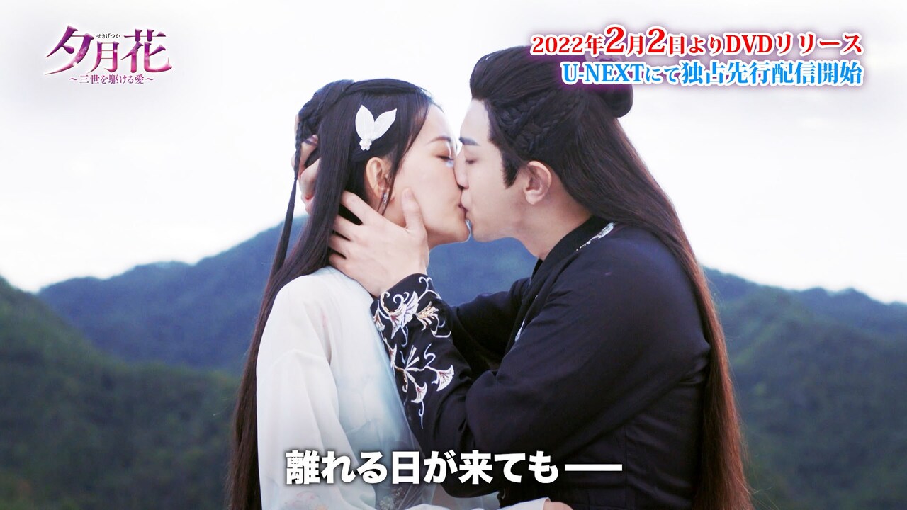 夕月花　三世を駆ける愛　DVD　中国ドラマ 中国ドラマ【夕月花（せきげつか）～三世を駆ける愛～】全話