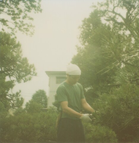 「ひとつの歌」