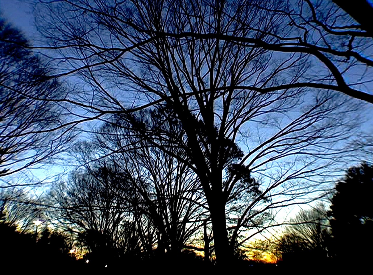 西島秀俊らが声の出演「眠り姫」サラウンドリマスター版、K's cinemaで上映