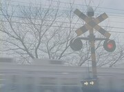 「眠り姫（サラウンドリマスター版）」