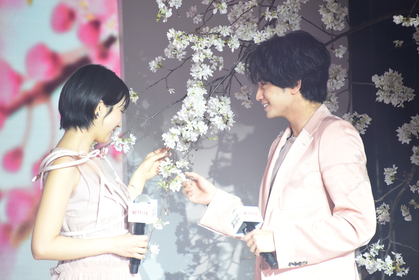 桜を愛でる中島健人（右）と松本穂香（左）。