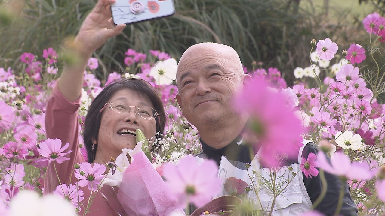 夫婦を21年取材した「人生ドライブ」予告、板谷由夏「涙なしには見られません」