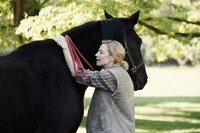 「不都合な理想の夫婦」