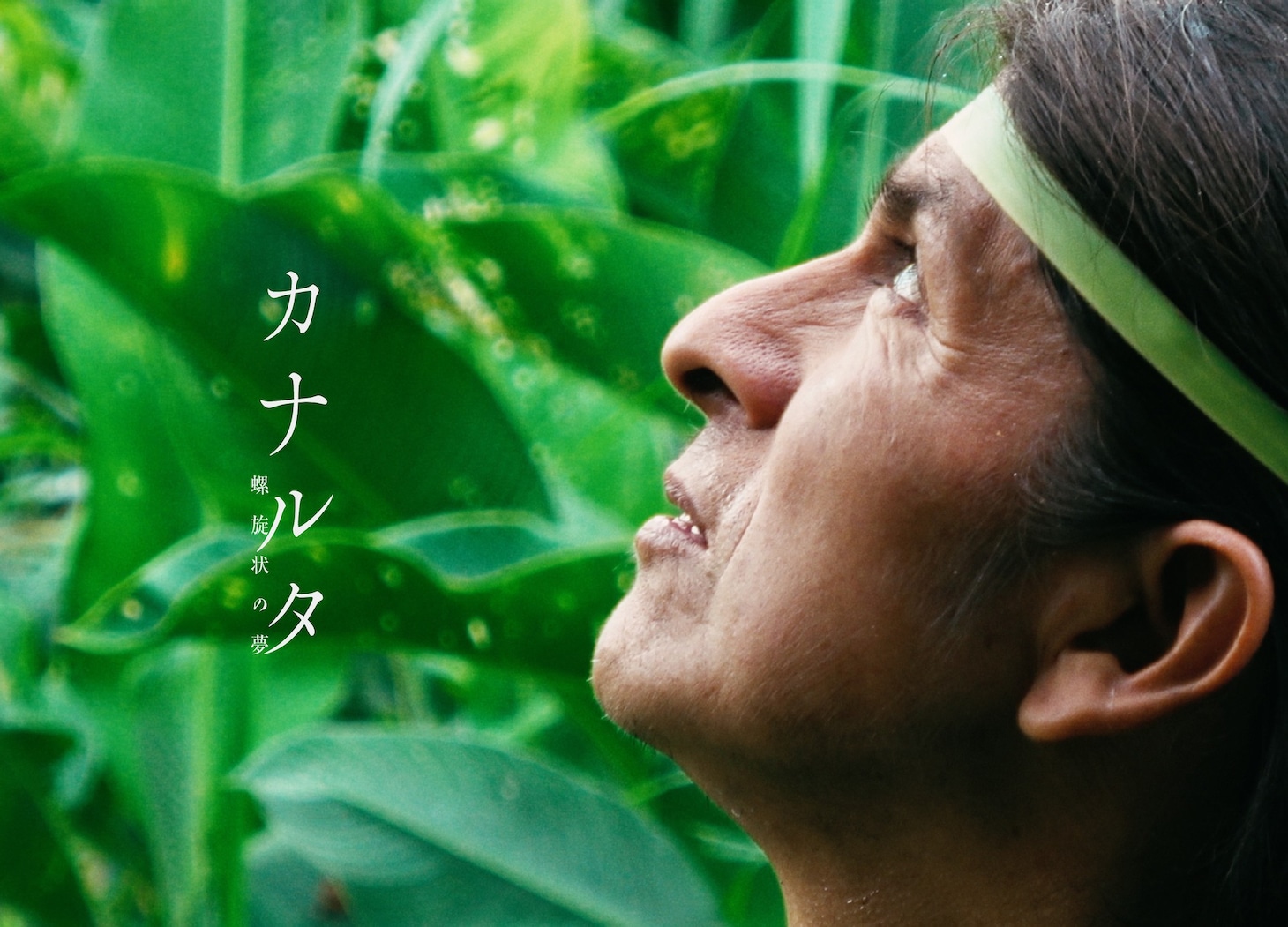 「カナルタ 螺旋状の夢」キービジュアル