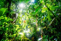 「カナルタ 螺旋状の夢」