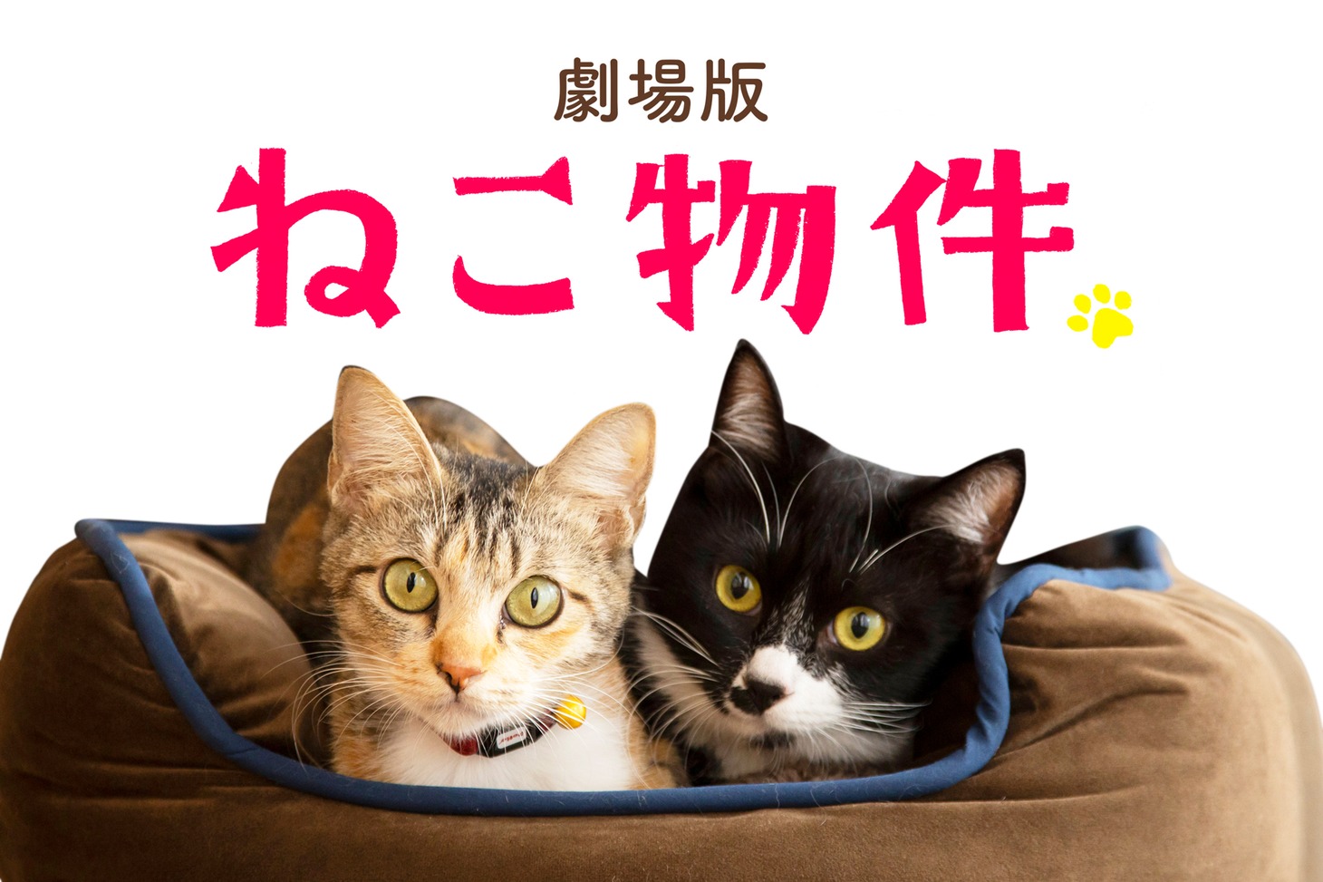 劇場版「ねこ物件」ビジュアル