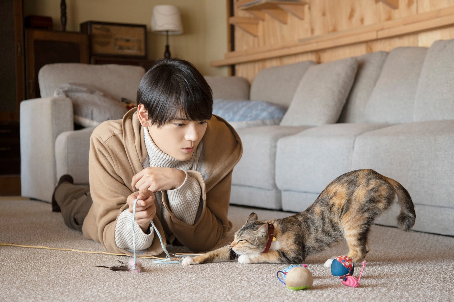 劇場版「ねこ物件」