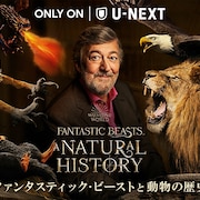 ファンタビ魔法動物の謎に迫るドキュメンタリー配信、ハリー・ポッター特番の吹替版も