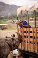 「ファンタスティック・ビーストと動物の歴史」