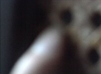 斎藤玲児の作品より。