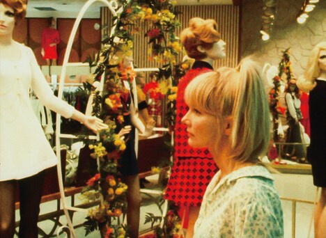 「WANDA/ワンダ」