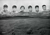 「太陽の季節」 (c)日活