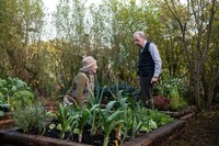 「君を想い、バスに乗る」