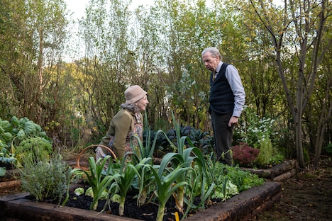 「君を想い、バスに乗る」