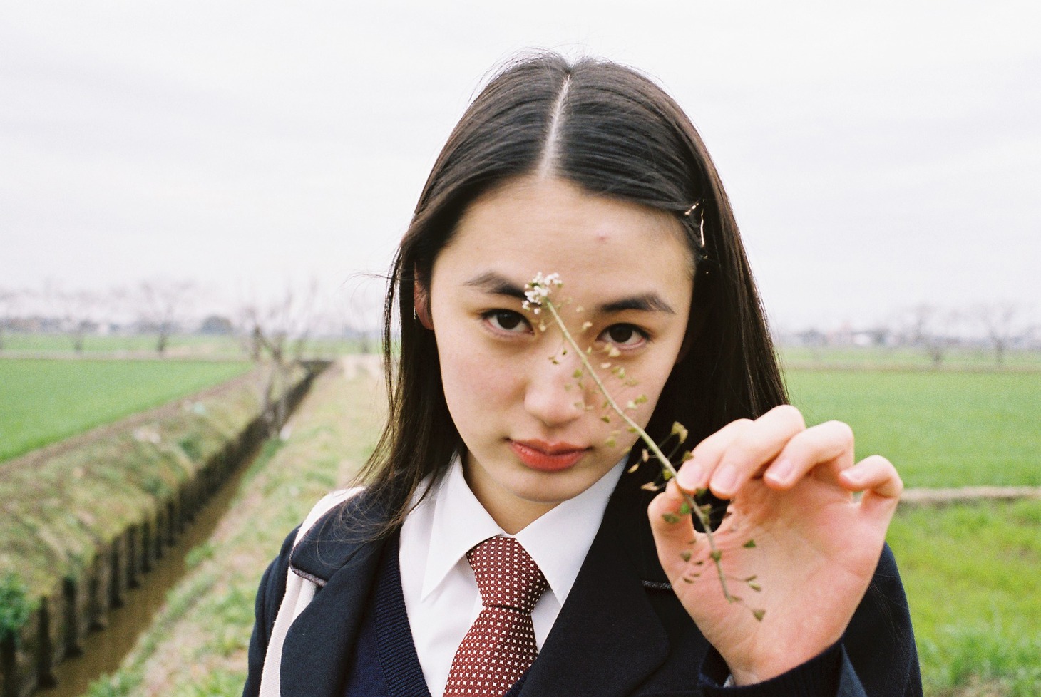 「pitter-patter」より。