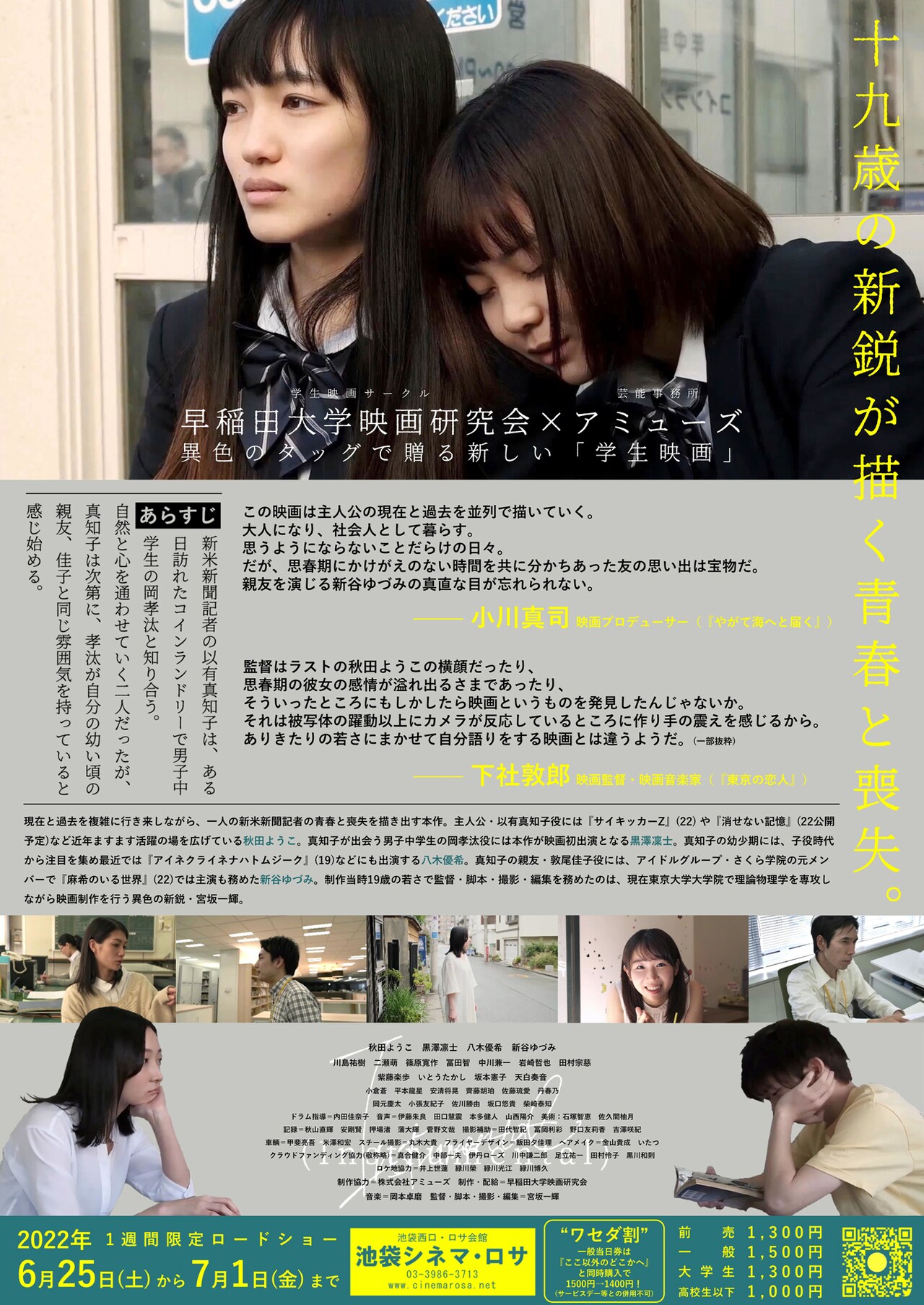 R指定　裏映像盤　＋切抜き、フライヤー Amazon｜石浜金物工業 フライヤーかすあげ 荒目 (12メッシュ) 18