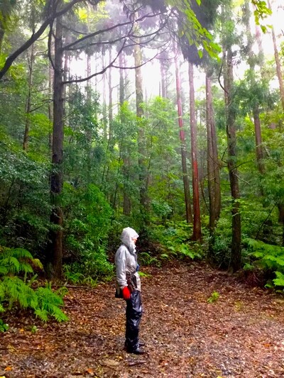 「杜人（もりびと）～環境再生医 矢野智徳の挑戦」