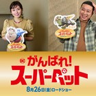 松岡茉優とチョコプラ松尾駿「DC がんばれ!スーパーペット」吹替版に参加