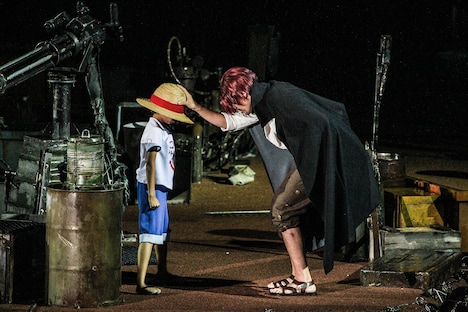 過去に行われた「ワンピース・プレミアショー」の様子。