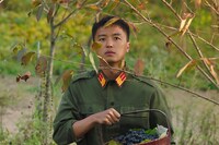 「愛に奉仕せよ」