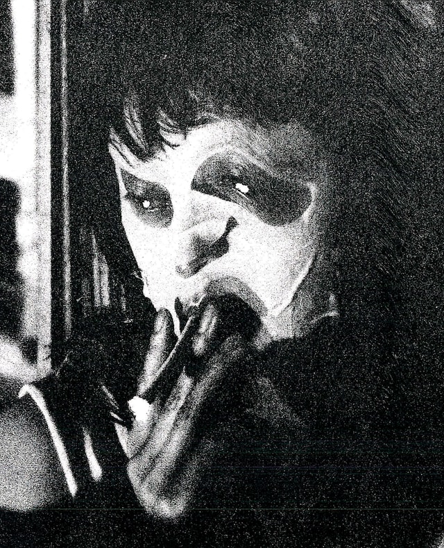 「VIDEOPHOBIA」Blu-rayカバー