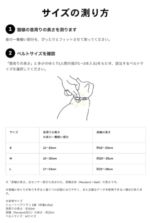 サイズの測り方の解説。