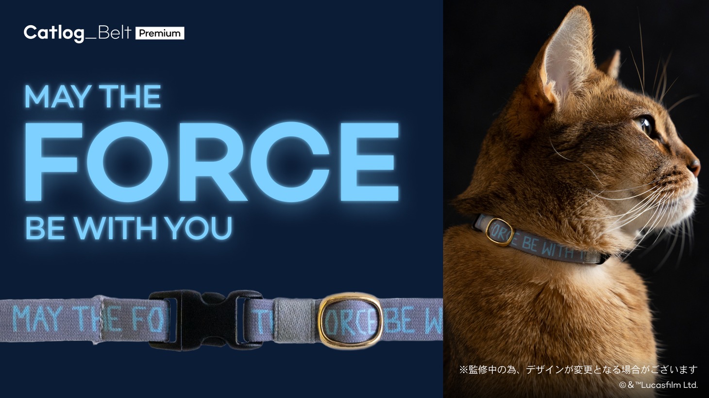 “May the Force be with you” デザイン