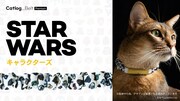 「STAR WARS」キャラクターズ（シュシュ型）