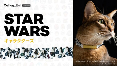 「STAR WARS」キャラクターズ（シュシュ型）