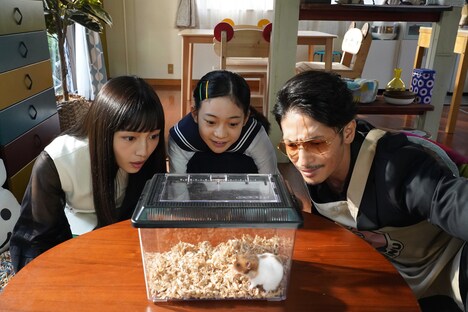 「極主夫道 ザ・シネマ」新場面写真