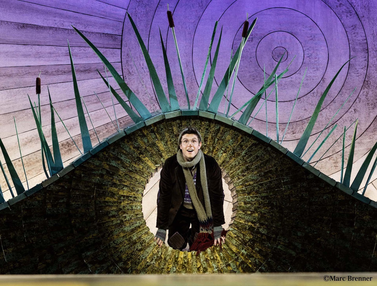 「ザ・ウィローズ The Wind in the Willows」