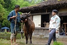 「祖谷物語」蔦哲一朗の新作「黒の牛」撮影開始、リー・カンションと田中泯が出演