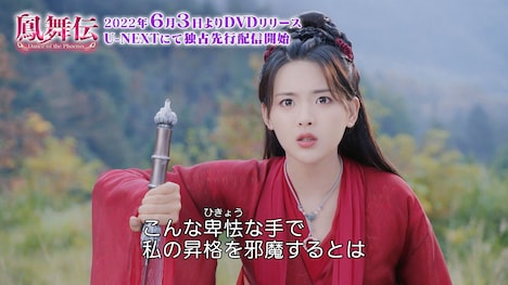 「鳳舞伝 Dance of the Phoenix」