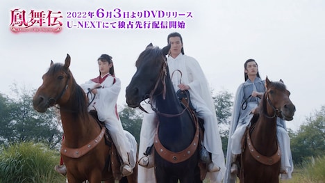 「鳳舞伝 Dance of the Phoenix」