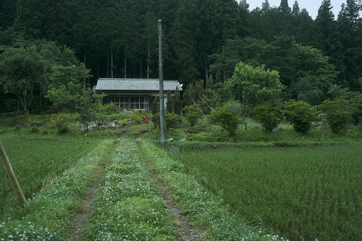 榛村の自宅。
