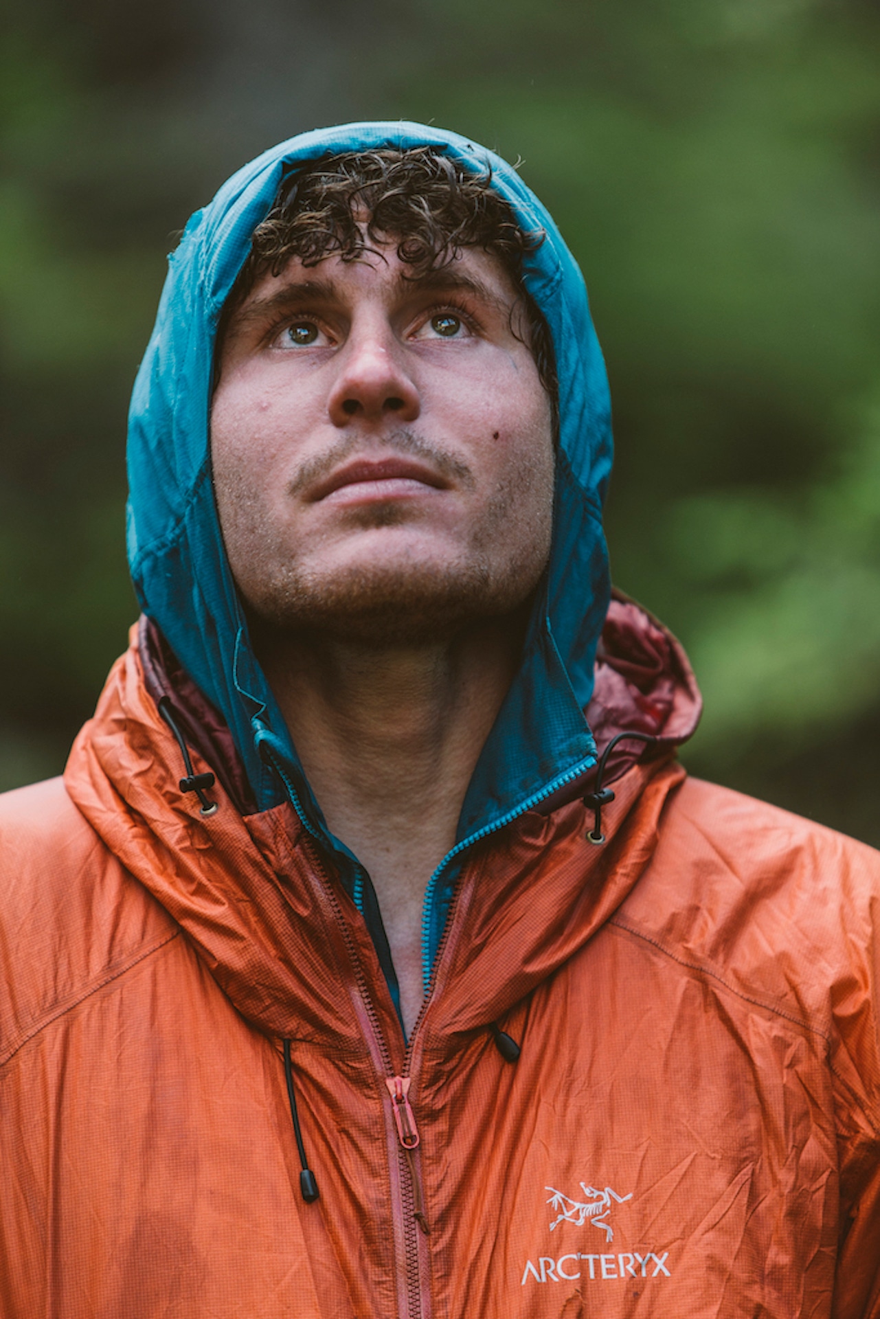 「アルピニスト」