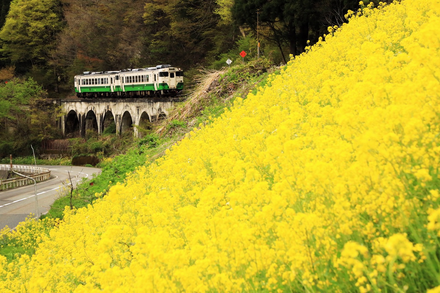 「霧幻鉄道 只見線を300日撮る男」