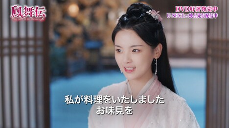 「鳳舞伝 Dance of the Phoenix」PVより。