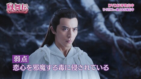 「鳳舞伝 Dance of the Phoenix」PVより。
