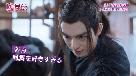 「鳳舞伝 Dance of the Phoenix」PVより。