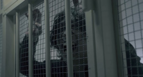 「俺を早く死刑にしろ！」