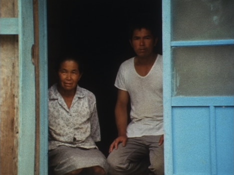 「アカマタの歌 海南小記序説／西表島・古見」