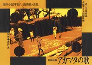 「アカマタの歌 海南小記序説／西表島・古見」ポスタービジュアル