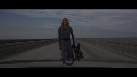 「ビヨンド（4Kレストア版）」