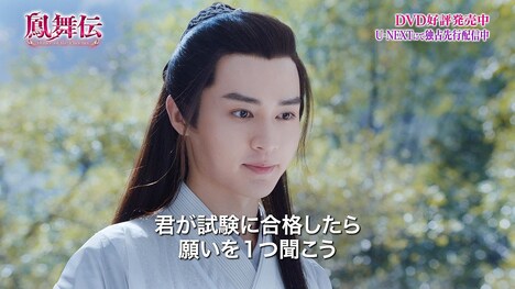 「鳳舞伝 Dance of the Phoenix」