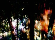 「統辞の樹木、範列の葉」