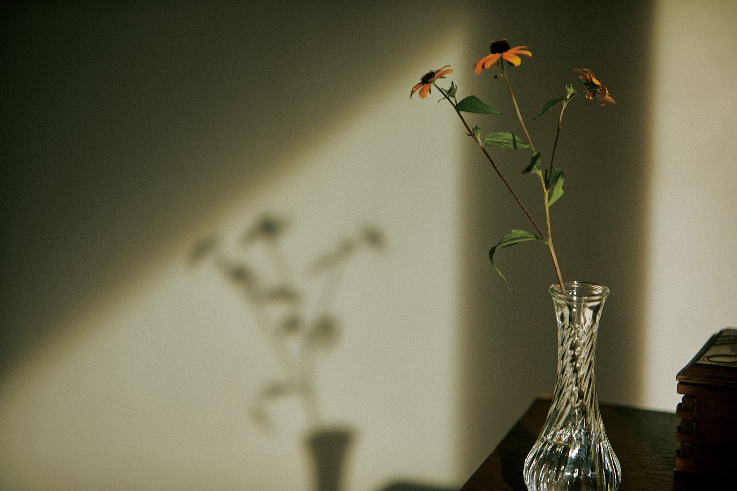 「百花」新場面写真